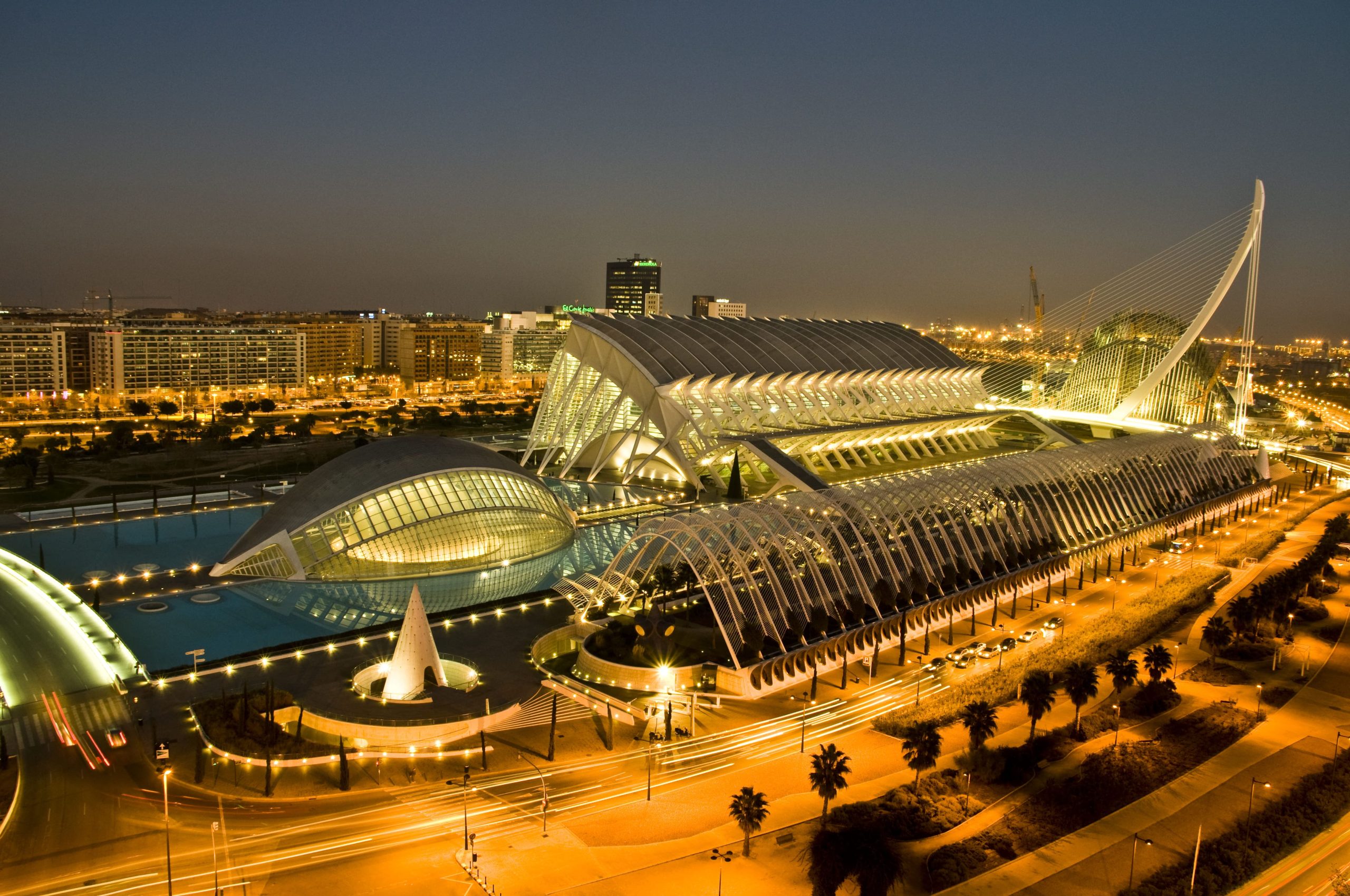 Valencia,_Ciudad_de_las_Ciencias_y_de_las_Artes (1)